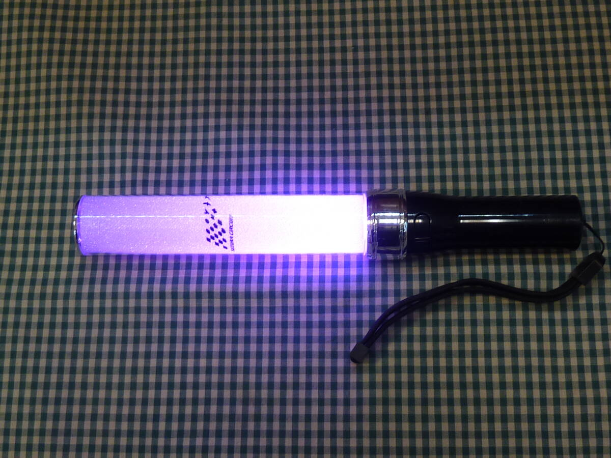 PRE-ORDER Suzuka Circuit Penlight